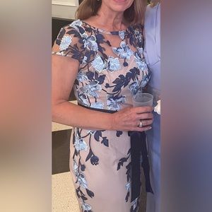 Size 8/medium embroidered sheath dress from Adriana PapelL